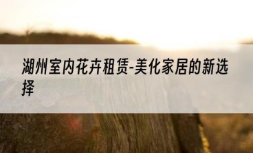 湖州室内花卉租赁-美化家居的新选择