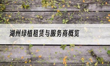 湖州绿植租赁与服务商概览