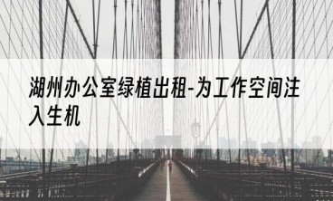 湖州办公室绿植出租-为工作空间注入生机