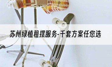 苏州绿植租摆服务-千套方案任您选