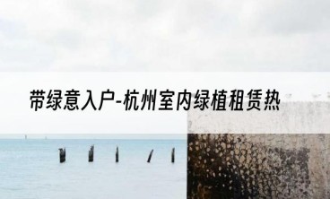 带绿意入户-杭州室内绿植租赁热