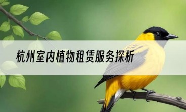 杭州室内植物租赁服务探析