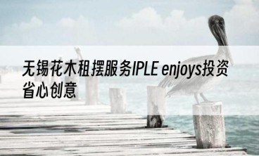 无锡花木租摆服务IPLE enjoys投资省心创意