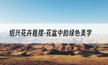 绍兴花卉租摆-花盆中的绿色美学