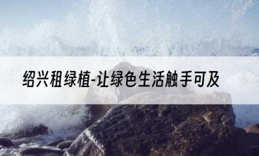 绍兴租绿植-让绿色生活触手可及