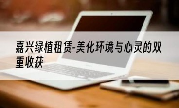 嘉兴绿植租赁-美化环境与心灵的双重收获