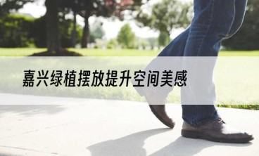 嘉兴绿植摆放提升空间美感