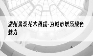 湖州景观花木租摆-为城市增添绿色魅力