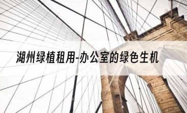 湖州绿植租用-办公室的绿色生机