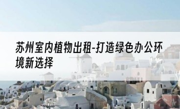 苏州室内植物出租-打造绿色办公环境新选择
