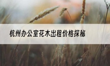 杭州办公室花木出租价格探秘