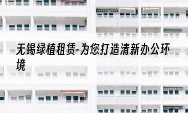 无锡绿植租赁-为您打造清新办公环境