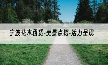 宁波花木租赁-美景点缀-活力呈现