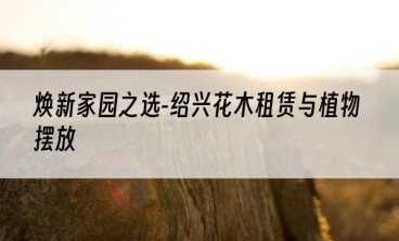 焕新家园之选-绍兴花木租赁与植物摆放