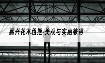 嘉兴花木租摆-美观与实惠兼得