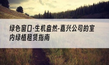 绿色窗口·生机盎然-嘉兴公司的室内绿植租赁指南