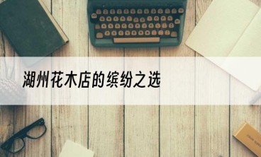 湖州花木店的缤纷之选