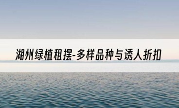 湖州绿植租摆-多样品种与诱人折扣