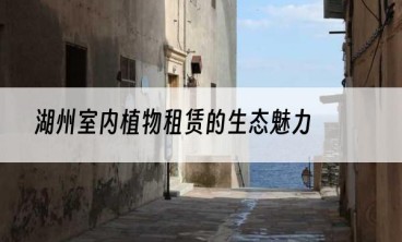 湖州室内植物租赁的生态魅力