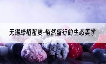 无锡绿植租赁-悄然盛行的生态美学