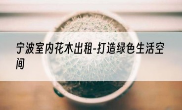 宁波室内花木出租-打造绿色生活空间