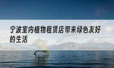 宁波室内植物租赁店带来绿色友好的生活
