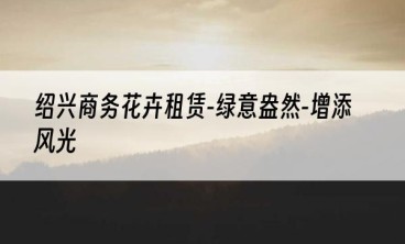 绍兴商务花卉租赁-绿意盎然-增添风光