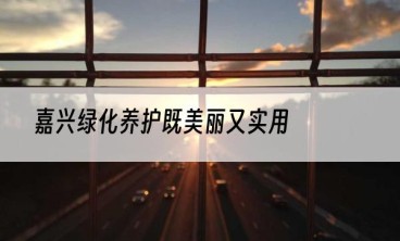 嘉兴绿化养护既美丽又实用