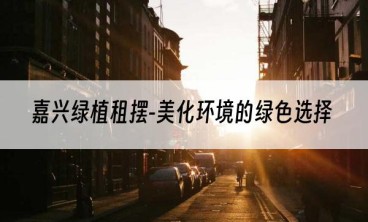 嘉兴绿植租摆-美化环境的绿色选择