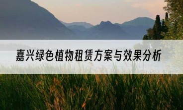 嘉兴绿色植物租赁方案与效果分析