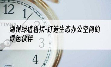 湖州绿植租摆-打造生态办公空间的绿色伙伴