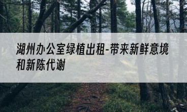湖州办公室绿植出租-带来新鲜意境和新陈代谢