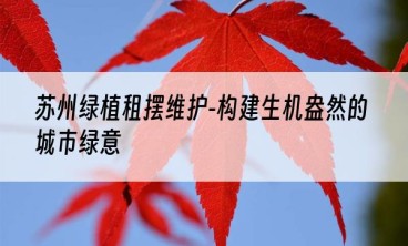 苏州绿植租摆维护-构建生机盎然的城市绿意