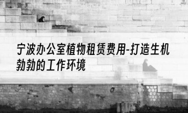宁波办公室植物租赁费用-打造生机勃勃的工作环境