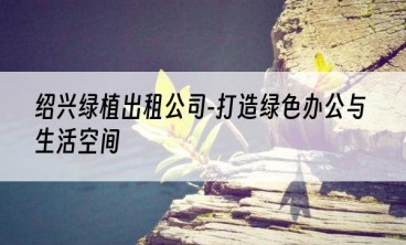 绍兴绿植出租公司-打造绿色办公与生活空间