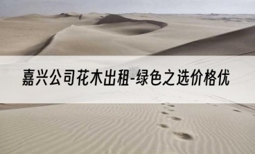 嘉兴公司花木出租-绿色之选价格优