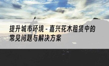 提升城市环境 - 嘉兴花木租赁中的常见问题与解决方案
