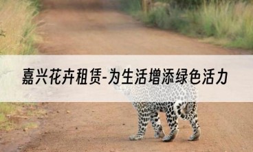 嘉兴花卉租赁-为生活增添绿色活力