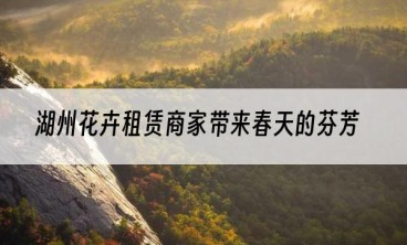 湖州花卉租赁商家带来春天的芬芳