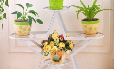 花卉绿植租赁怎么预防花卉绿植烂根？