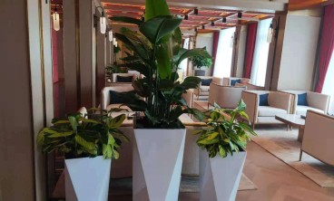 绿植租摆服务的益处和优势