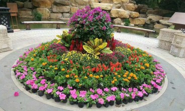 花卉出租的好处和优势有哪些？