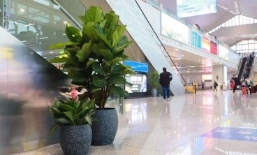 会议场所花卉租赁推荐？