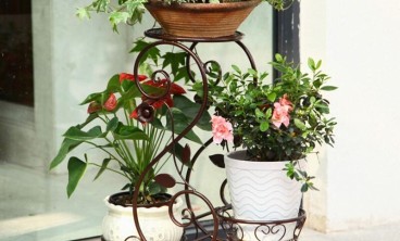 为什么选择花卉出租服务？