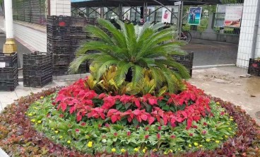 租花服务：打造绿色环保的办公室新选择