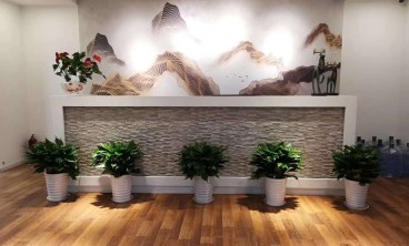 办公室花卉租赁植物养护技巧-叶子变黄、脱落处理方法