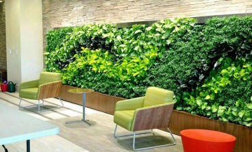 在公司办公室中租花卉有什么好处