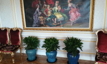 如何选择合适的绿植租赁服务供应商？