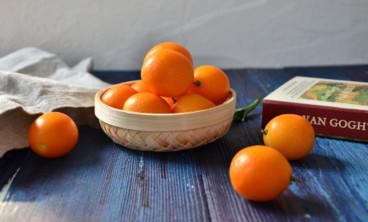 金桔的虫害防治方法