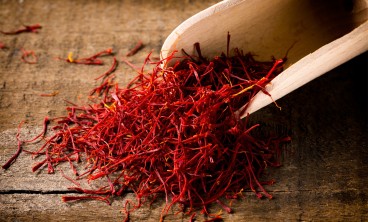 藏红花（番红花）常见虫害及防治方法